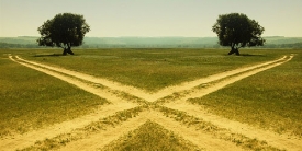 Файл:D50189f639008c9286ef7b1af2c936fd M.jpg