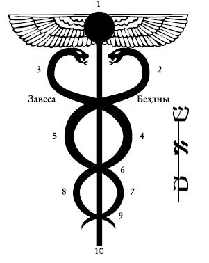 Файл:Caduceus3.jpg