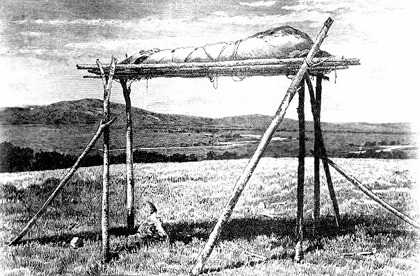 Файл:X 890468cd.jpg