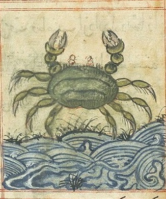 Файл:Krab.jpg