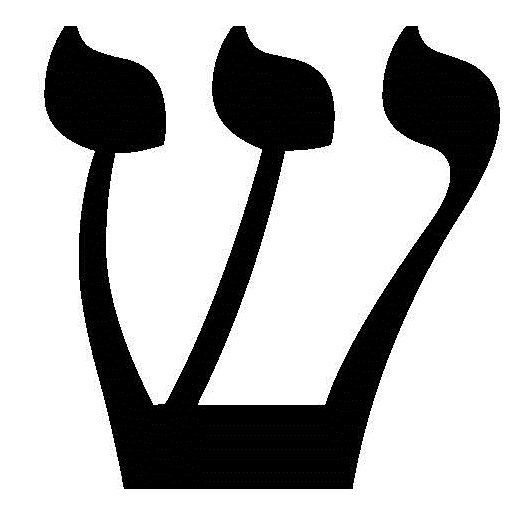 Файл:21 Шин.jpg