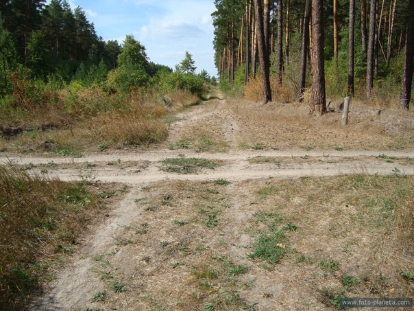 Файл:. . Crossroad.jpg