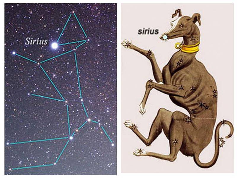 Файл:Sirius.jpg