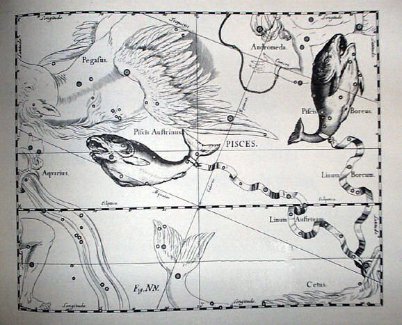 Файл:Pisces.jpg