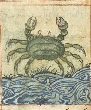 Krab.jpg